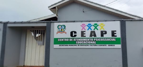 RELATÓRIO GERAL  DO CENTRO DE ATENDIMENTO PSICOSSOCIAL EDUCACIONAL - CEAPE 2022